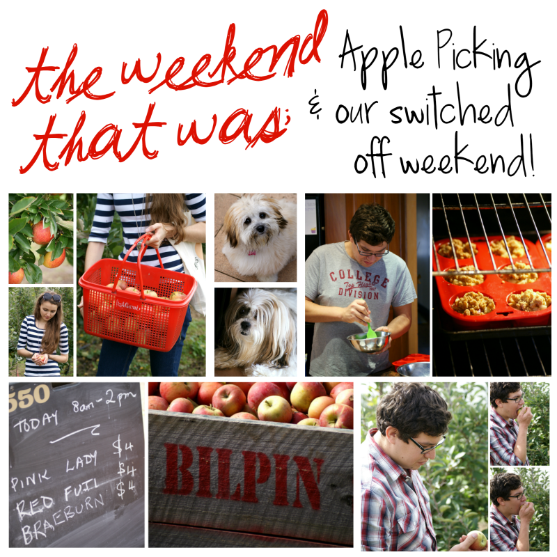 The Weekend That Was: Apple Picking and Our Switched Off Weekend