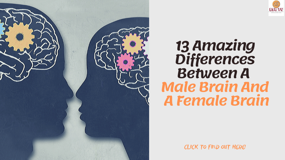 7 Amazing Differences Between A Male Brain And A Female Brain