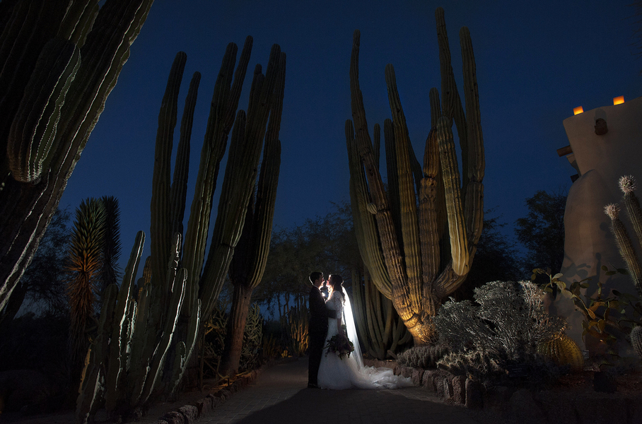 Purple Desert Botanical Garden Wedding