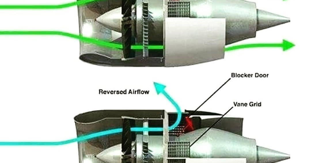 𝐓𝐡𝐫𝐮𝐬𝐭 𝐑𝐞𝐯𝐞𝐫𝐬𝐚𝐥