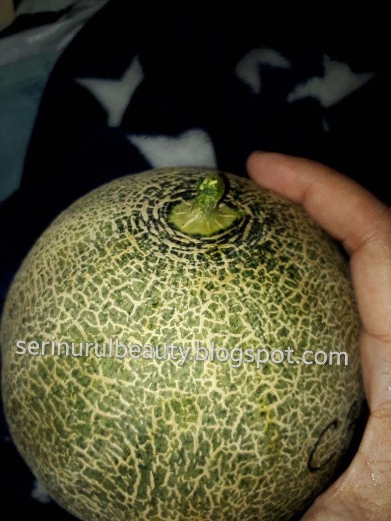 Healthy Nurul Beauty Growth of my planted rock melon