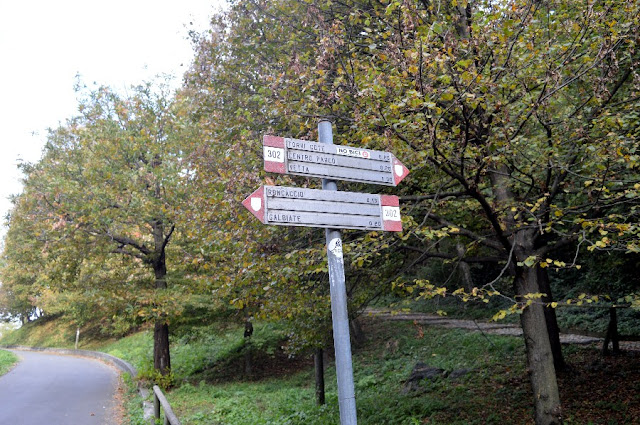 escursione monte barro lecco