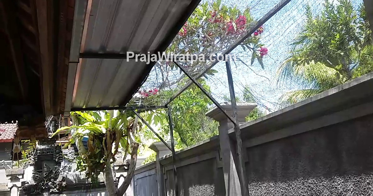 Memasang Kanopi Minimalis Sederhana Untuk Peneduh Tanaman Anggrek