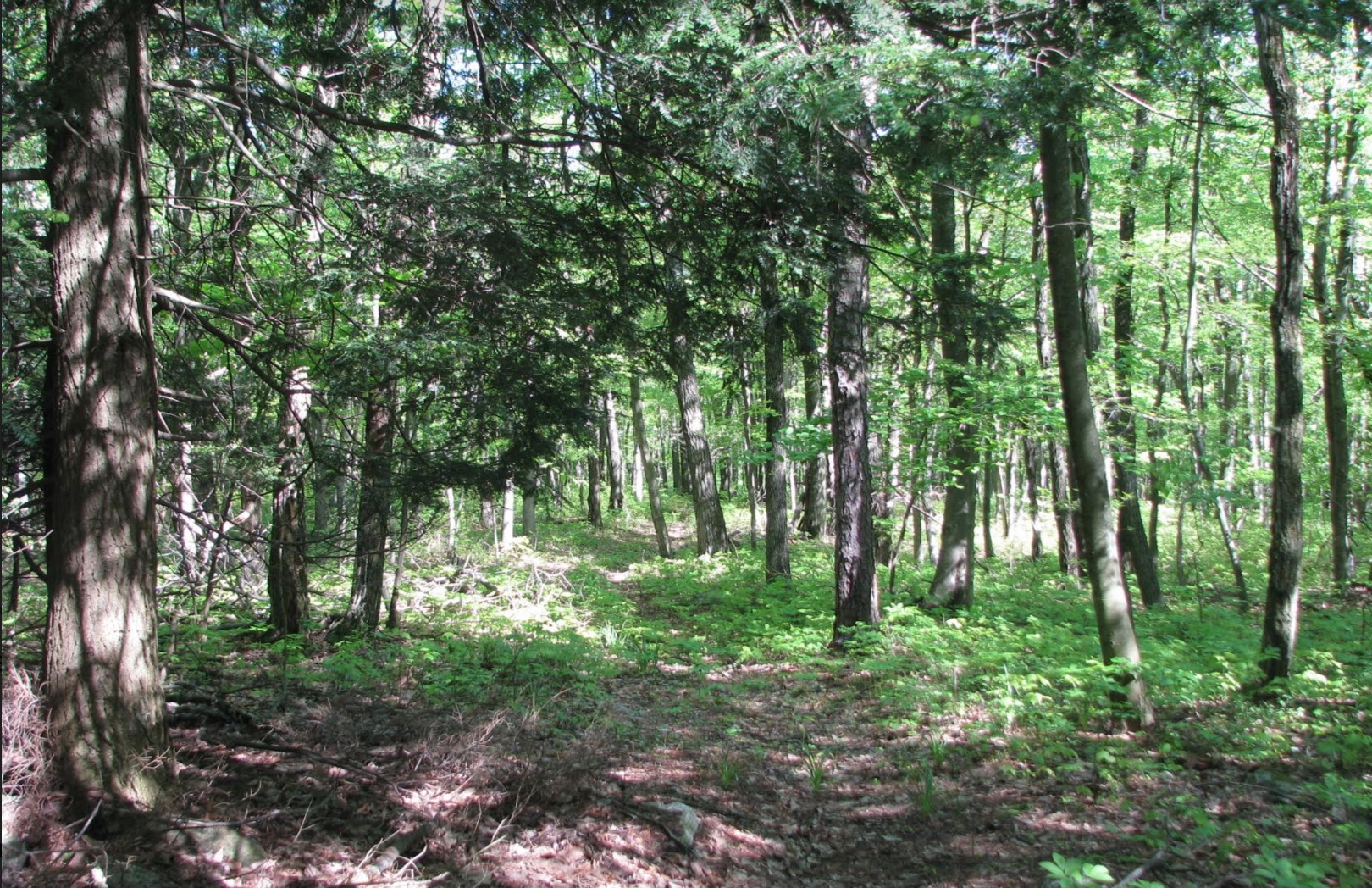 PA Environment Digest Blog The Nature ConservancyPA Protects 127