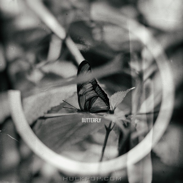 GT – Butterfly – Single