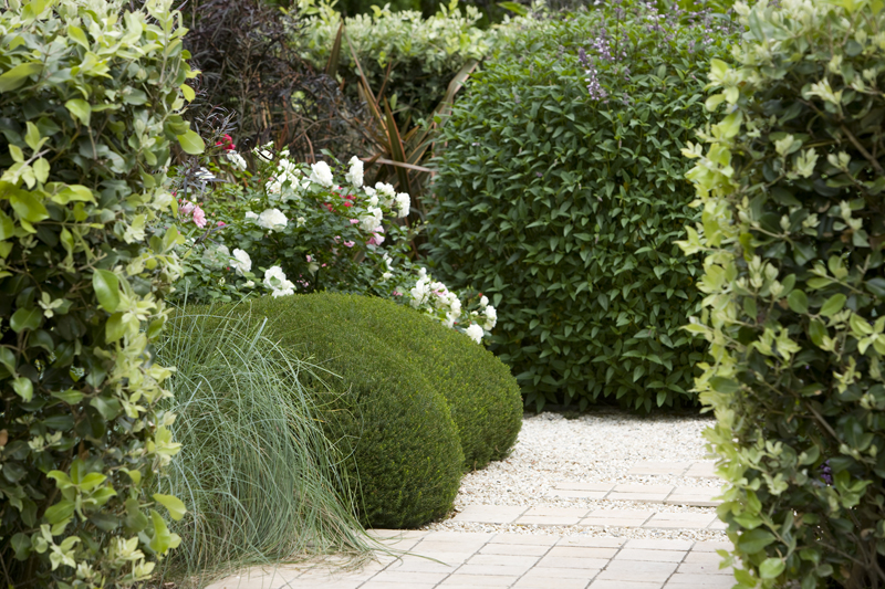 a curious gardener garden designer Peter Fudge