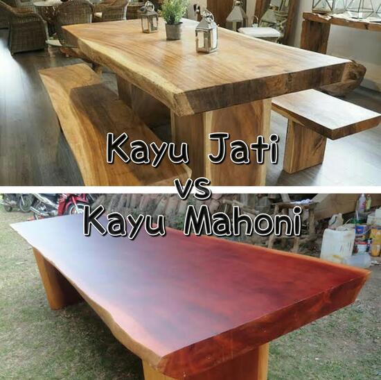  Kayu  Jati vs  Kayu  Mahoni  GazzGazz