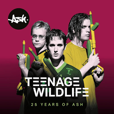 Teenage Wildlife 25 Years Of Ash Album