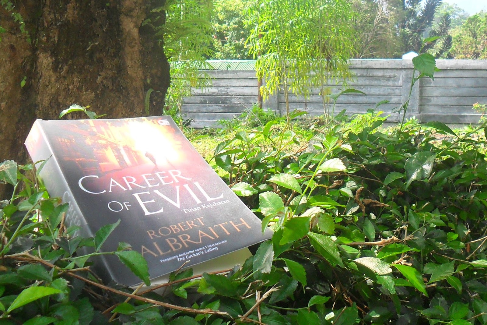 Download Robert Galbraith Career Of Evil Background