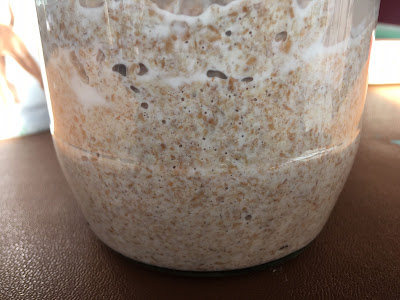 sourdough starter