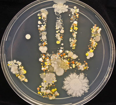 child's microbe hand print
