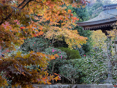 Autumn leaves: Kaizo-ji