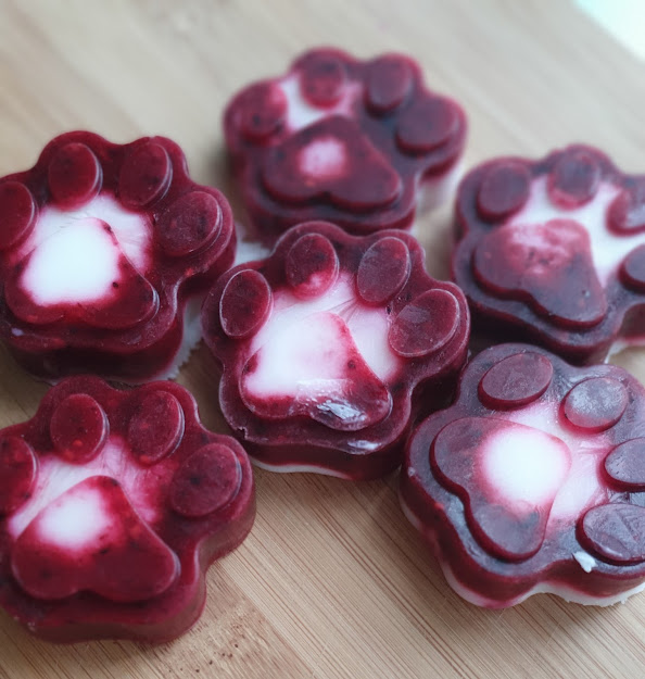 Berrylicious Frozen Kefir Treats Murphy the Magnificent