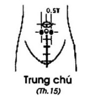 huyệt trung chú
