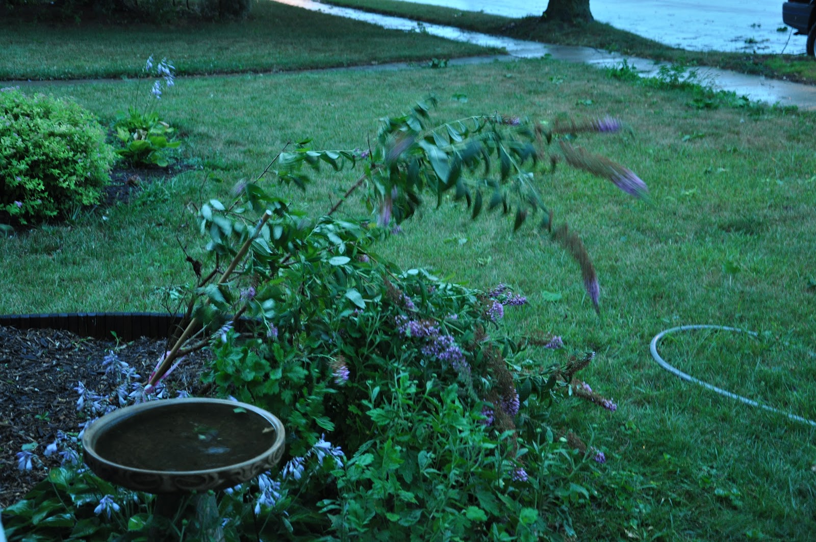 On the Urban Farm Storm Damage