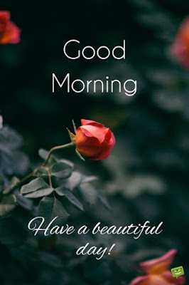beautiful good morning images with flowers