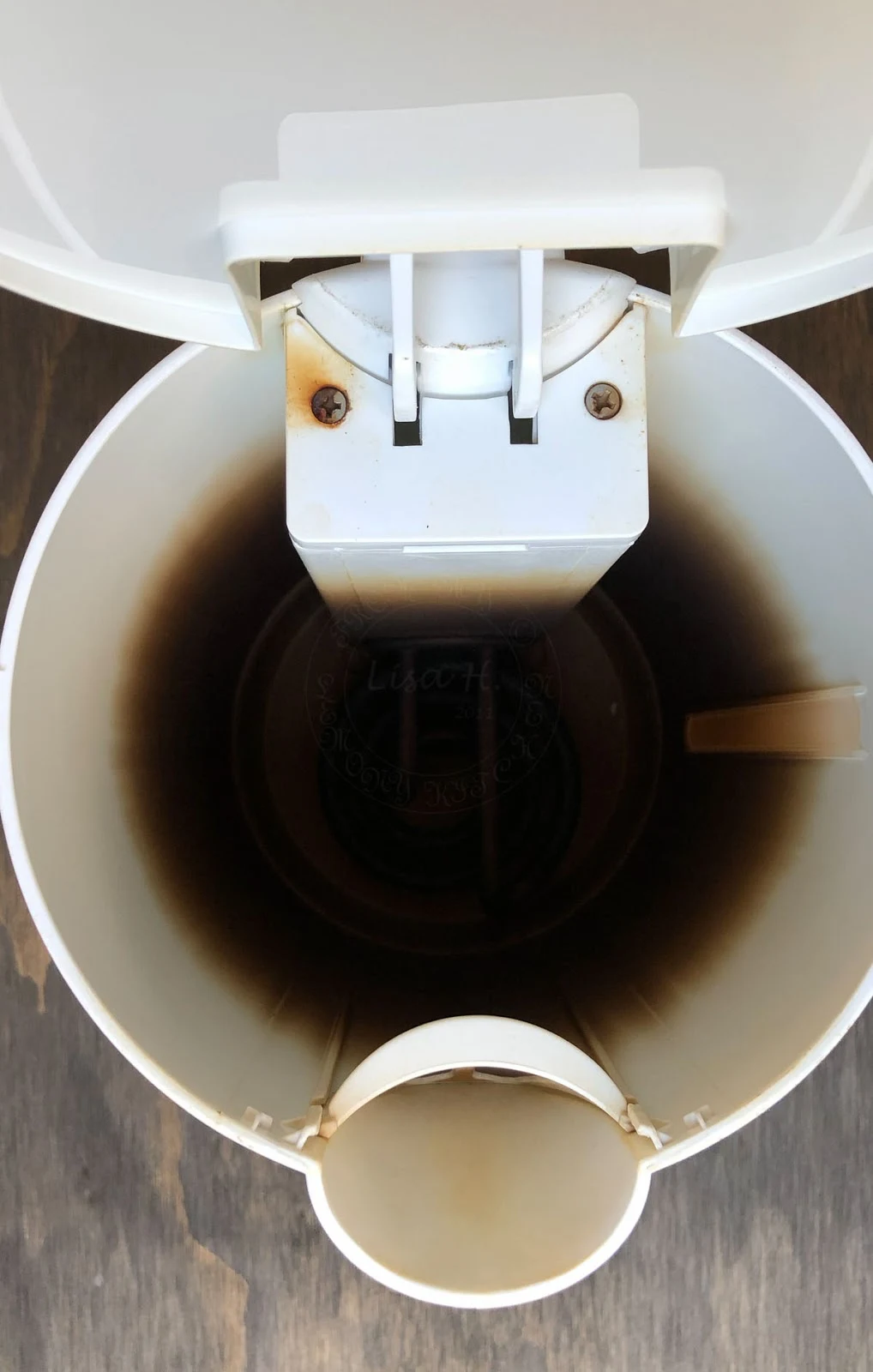 Cleaning Kettle without Chemical Lisa's Lemony Kitchen