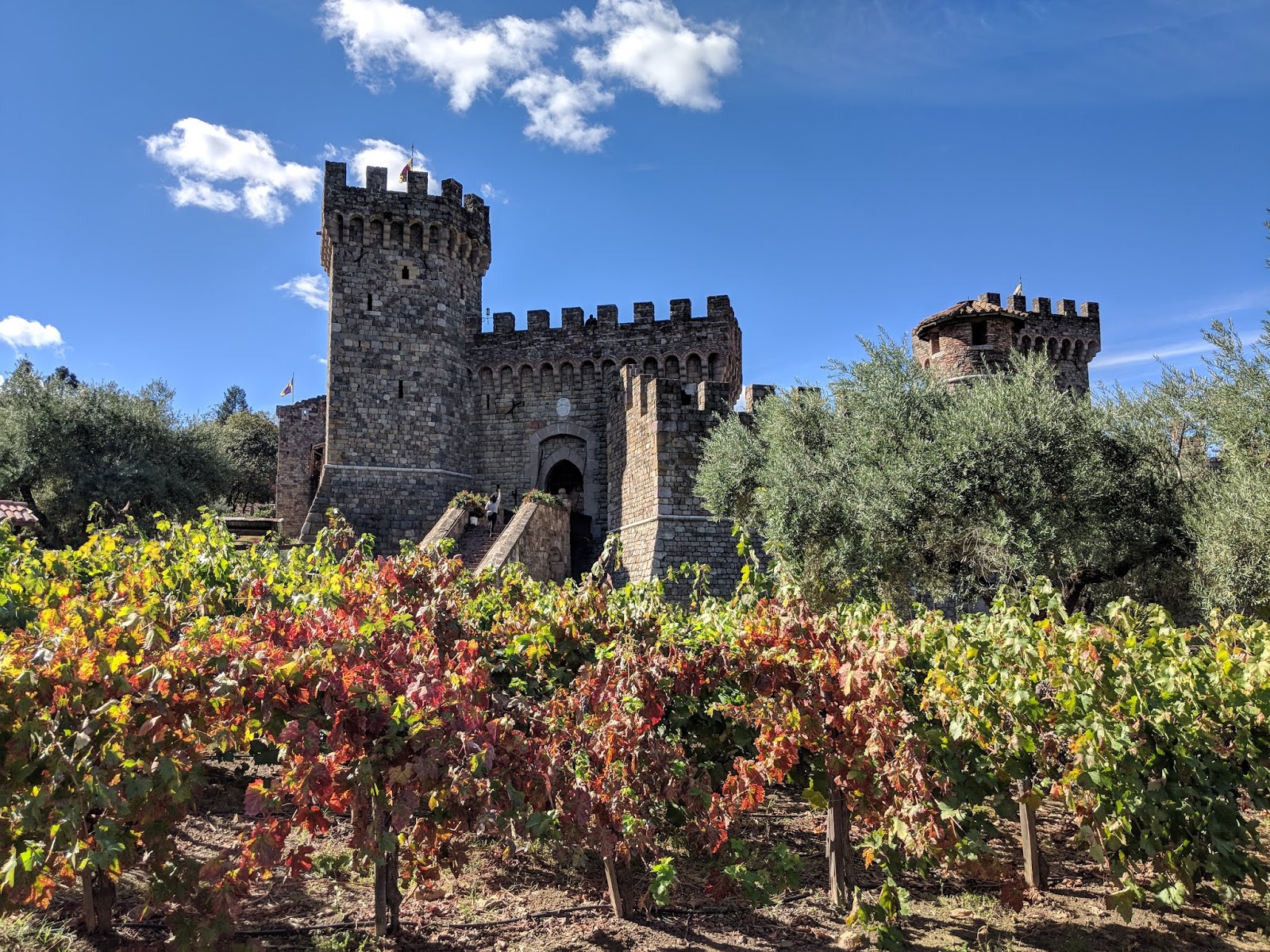 castello di amorosa wine tour
