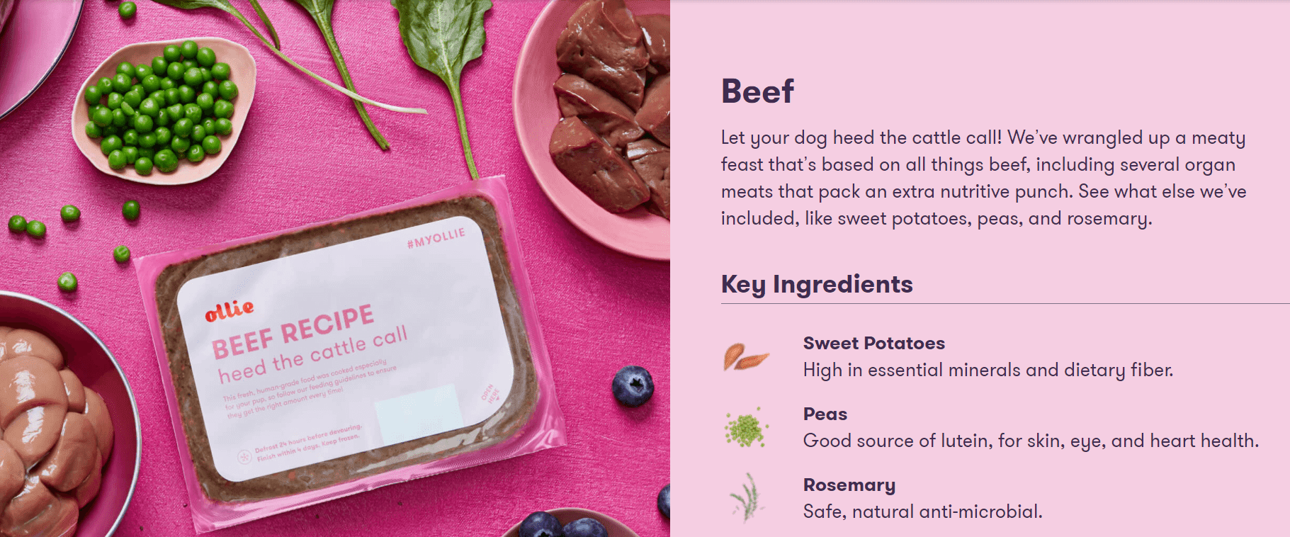 Where Is Ollie Dog Food Located