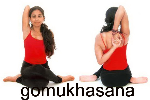 Ajaran Astangga Yoga Bahan Ajar Agama Hindu Smk Kelas Xi