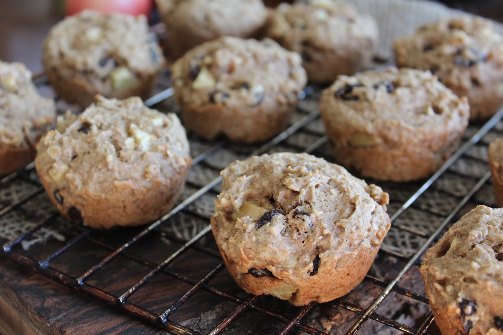 The Lifestyle Notebook Oatmeal Apple Raisin Muffins