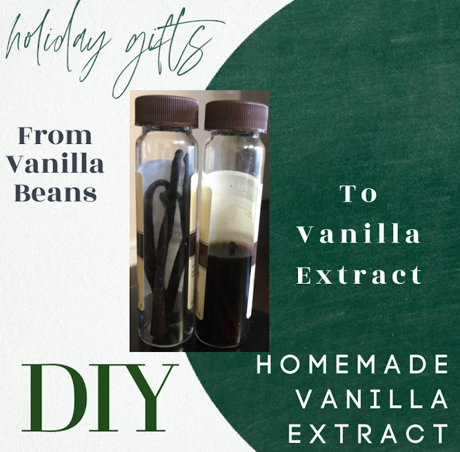Recipe Homemade Vanilla Extract + An Explanation of the Differences