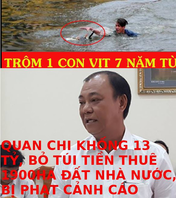 Dân bắt vịt về nhậu lĩnh án 7 năm tù, quan chi khống 13 tỉ bị ky luật từ khiến trách lên cảnh cáo