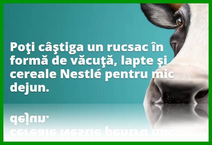 Castigatori Concurs Nestle Caștigă O Văcuță Pe Www Nestle Cereals Com Winacow