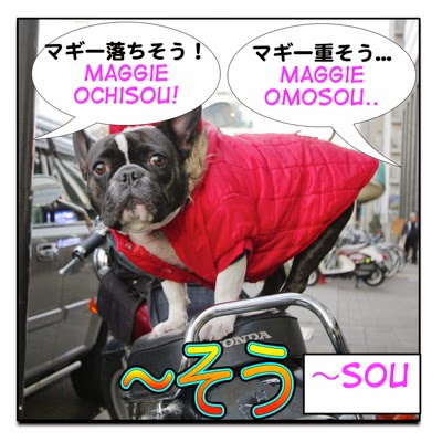 Uses of sou そう from Maggie sensei