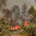 Π.Υ:Ενημέρωση για τις δασικές πυρκαγιές σε Μεσοχώρια Ευβοίας, Ακροκόρινθο, Πάρνηθα, Βόρεια Εύβοια και Ηλεία-Αρκαδία