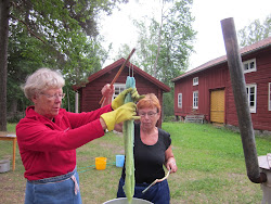 Växtfärgning dag 2