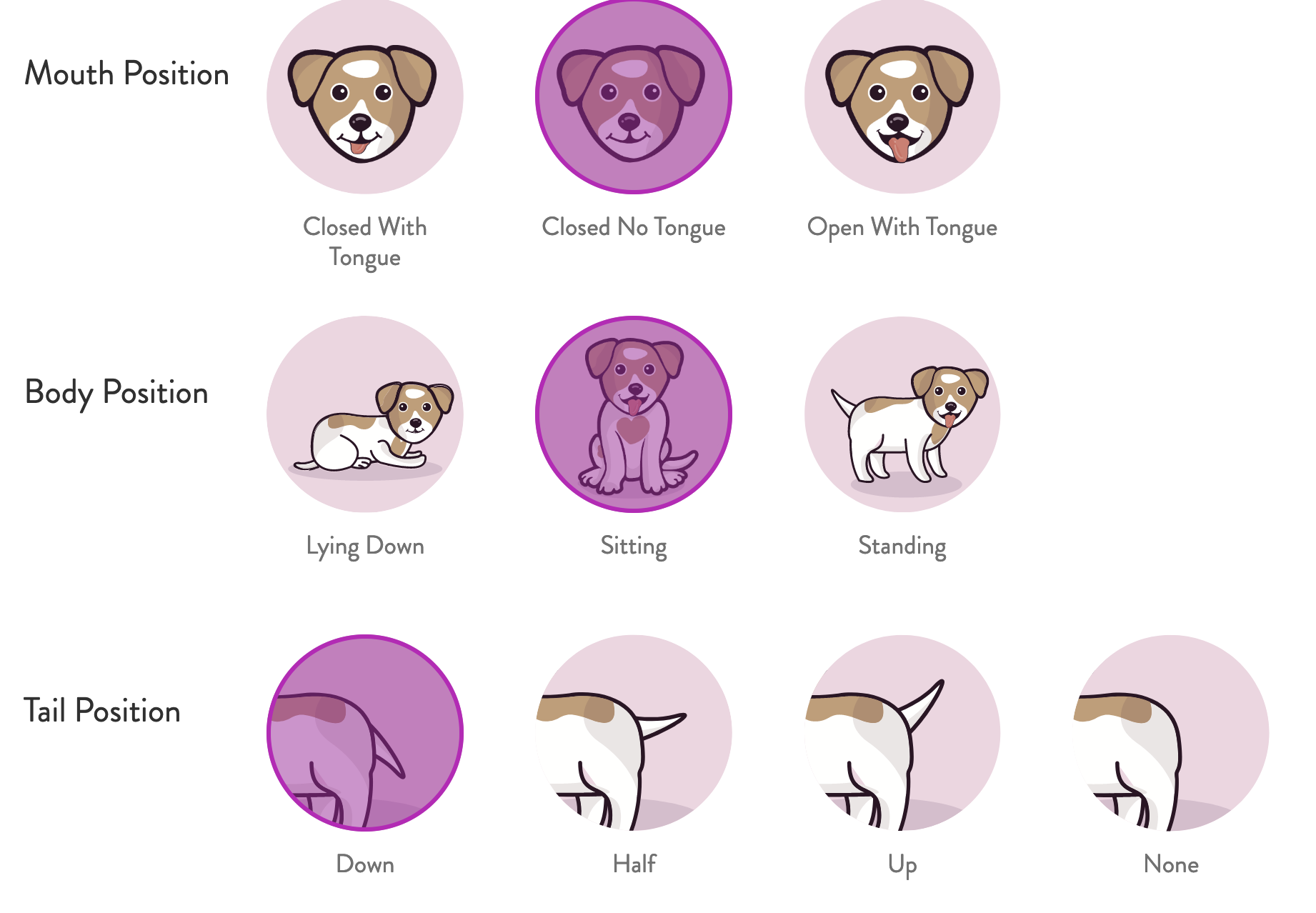 {review} Layla's Cuddle Clone; Ordering Process Closet Fashionista