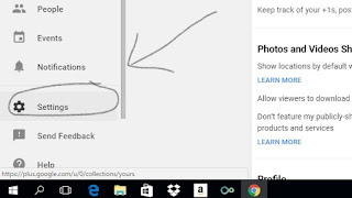 picture of Google+ profile page with circle drawn around settings tab