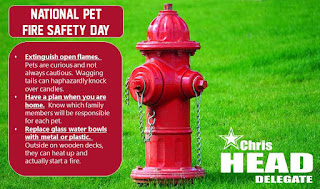 National Pet Fire Safety Day HD Pictures, Wallpapers