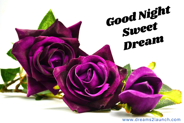 good night rose good night rose