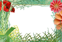 frames nature photoshop awesome frame designs wallpapers adobe syed imran comment