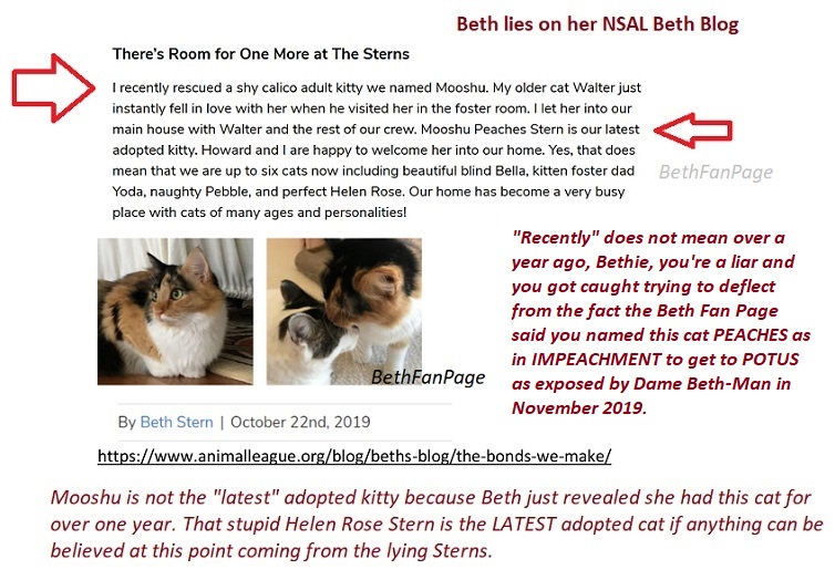 Beth Fan Page Bfp December 2019