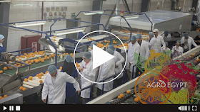 AgroEgypt видео канал