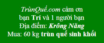 Trùn Quế về Krông Năng