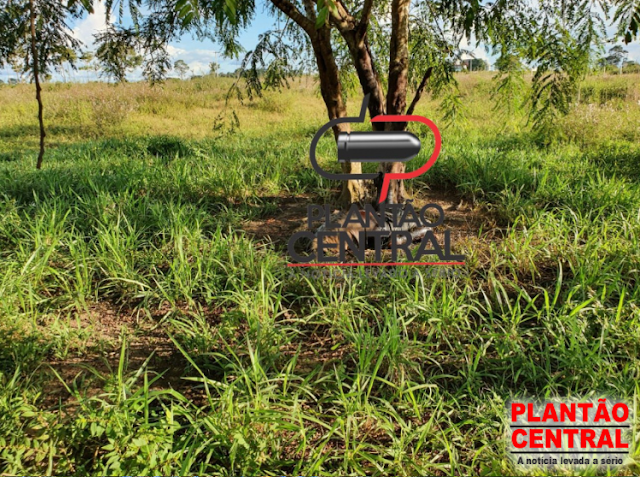 Cabeça é encontrada pendurada em árvore separada do corpo na zona rural de Ji-Paraná