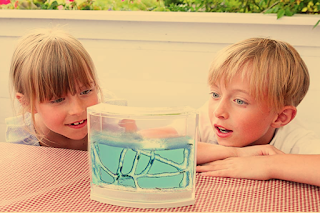5 Best Ant Farms for Kids in 2020 - Science Experiments for Kids