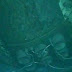 Marinha da Argentina divulga imagens de submarino naufragado