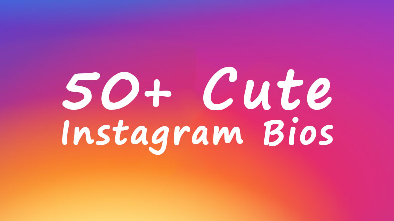 50+ Best Cute Instagram Bios & Quotes Ideas | Cinema Fun World
