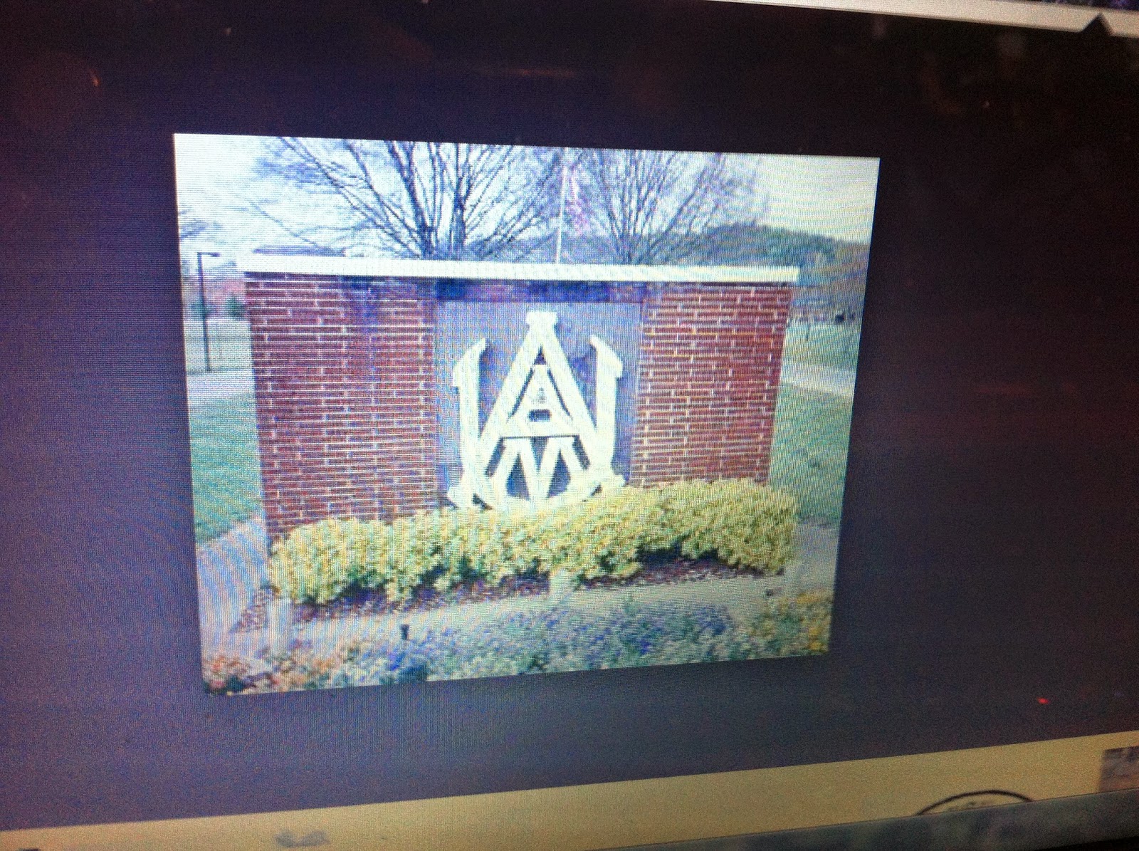 THE BLACK SOCIAL HISTORY BLACK SOCIAL HISTORY ALABAMA AGRICULTURAL