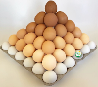 pola tumpukan telur