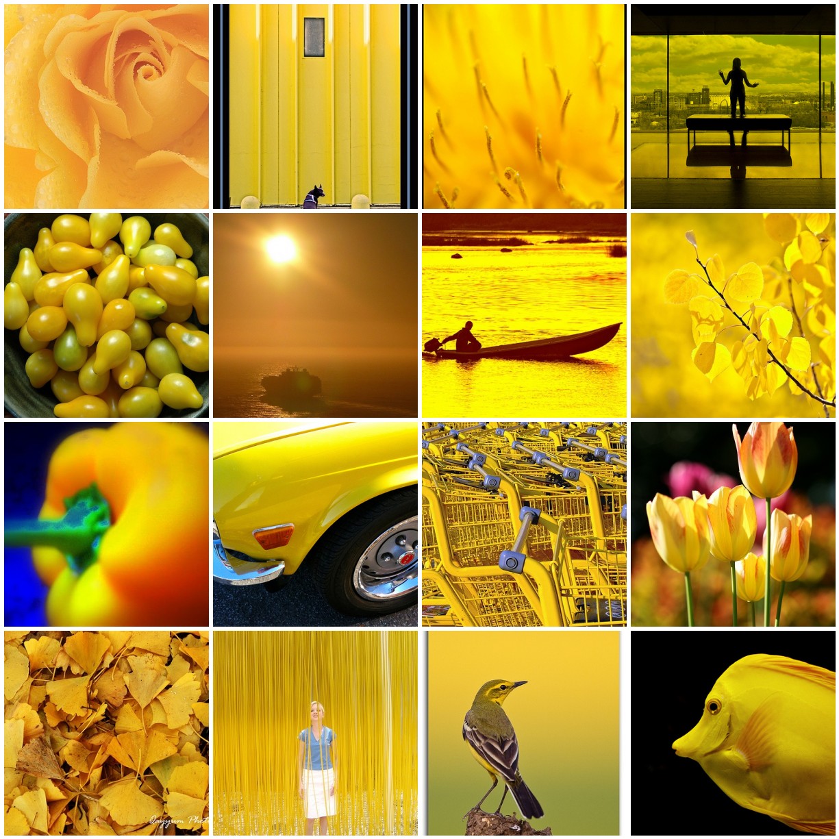 желтый цвет в психологии. значение долтоно цвета. желтый цвет в психологии. желтый цвет в маркетинге.