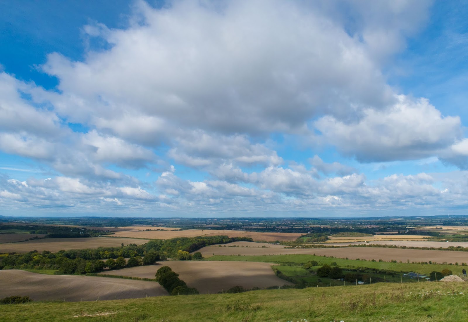 Ramblings Of A Jaffa Cat A Trip To Whipsnade Zoo