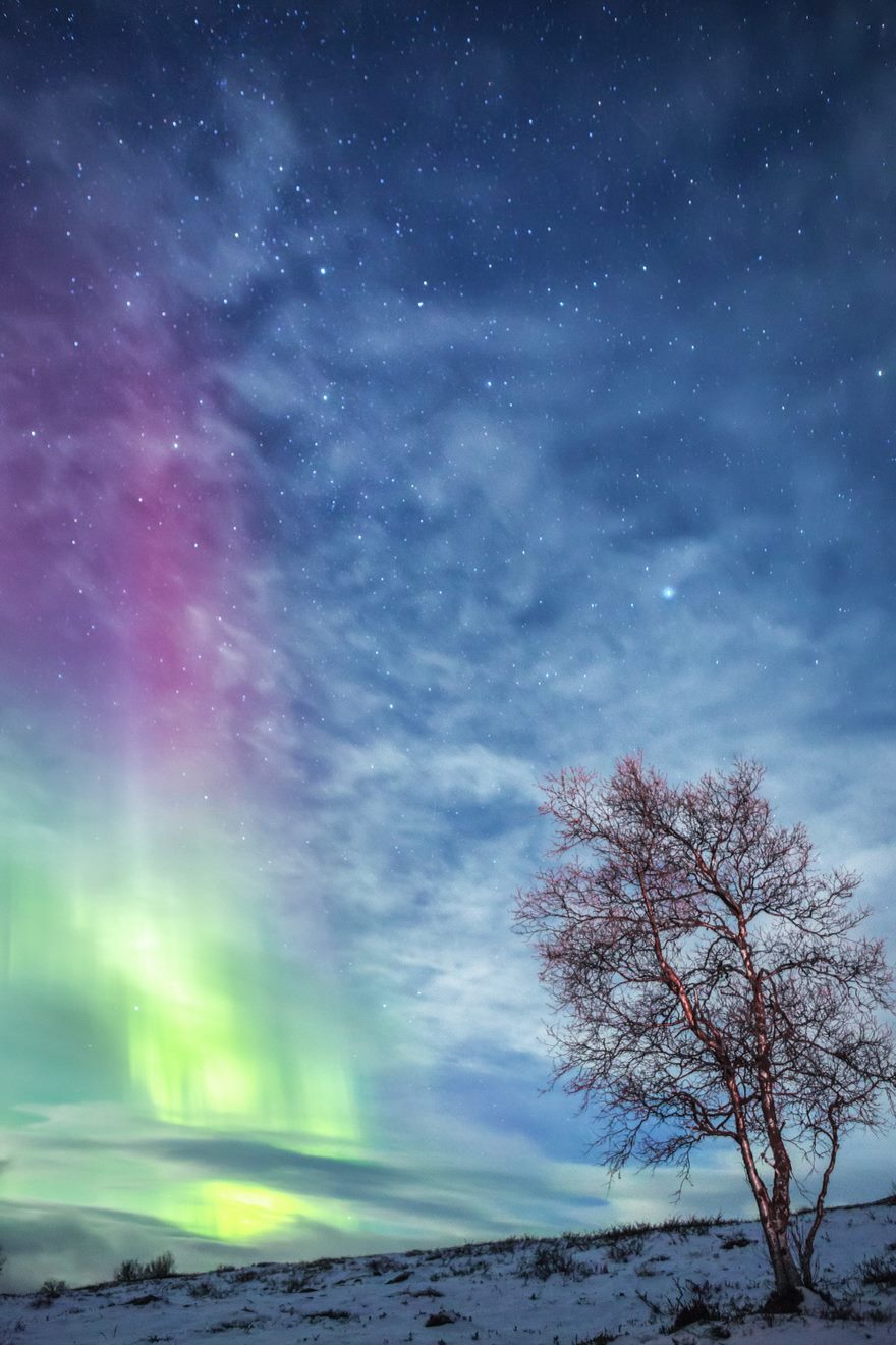 34 Reasons Why Lapland Is The Most Mythical Place To Celebrate Christmas 34 Reasons Why Lapland Is The Most Mythical Place To Celebrate Christmas