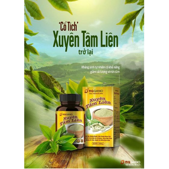 XUYÊN TÂM LIÊN VIÊN NANG – HQGANO