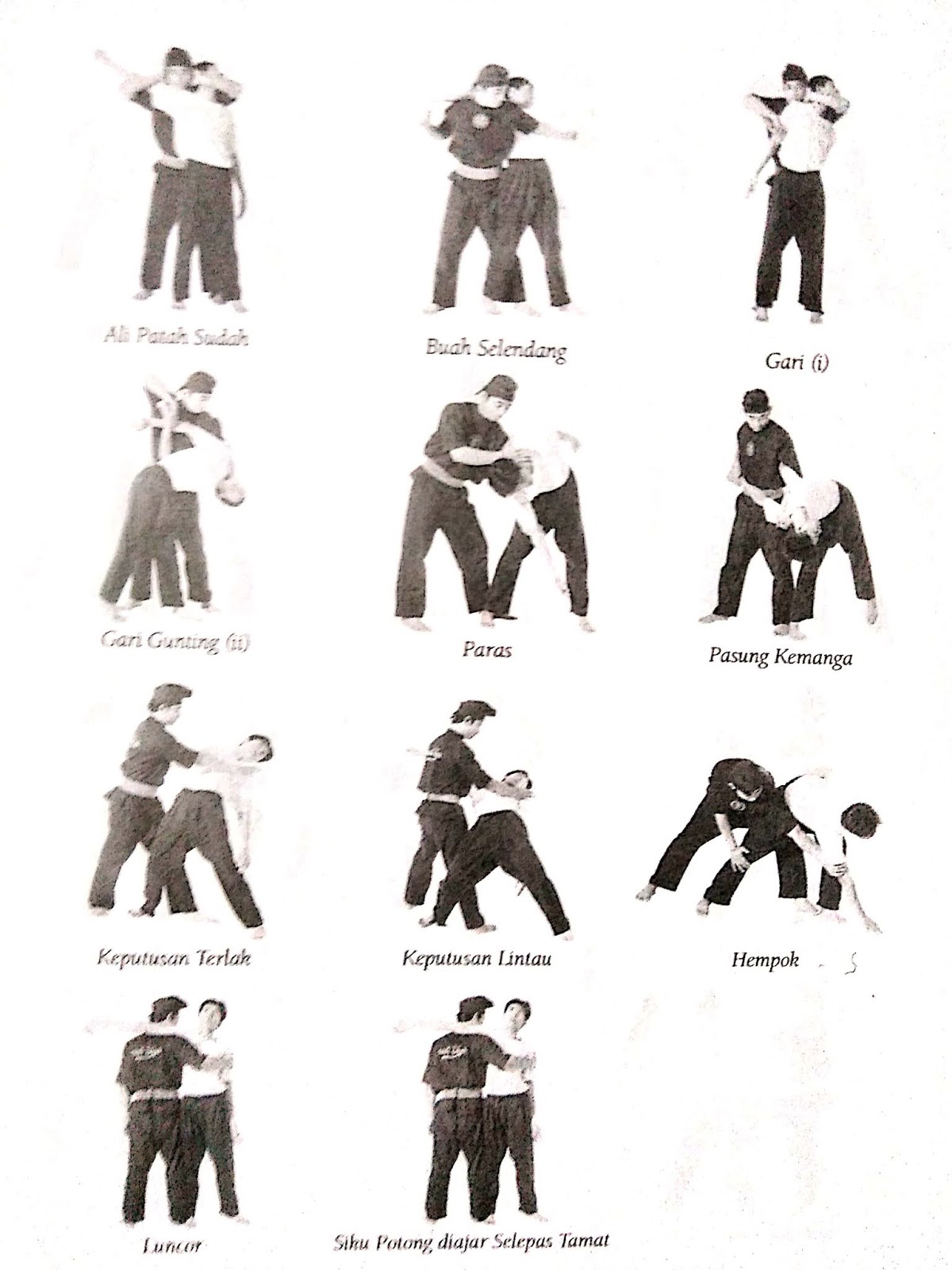 Buah Silat Cekak Malaysia Persatuan Seni Silat Cekak vrogue.co